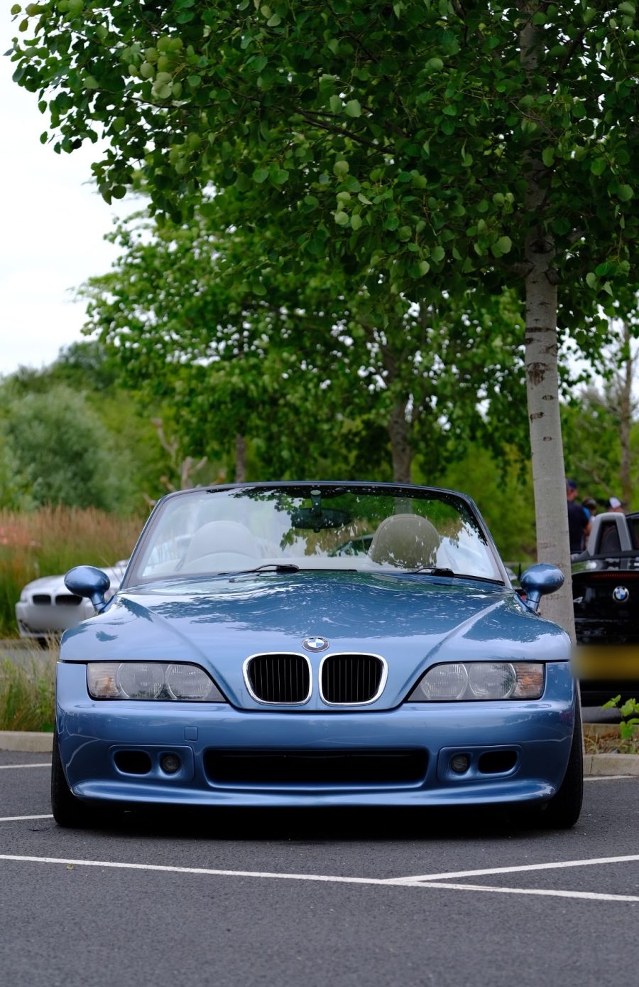 Blue Z3 roadster seen head-on under trees